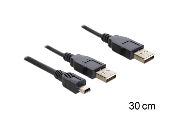 Delock - USB-kabel - USB (hane) till USB, mini-USB typ A (hane) - 30 cm