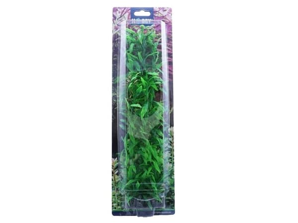 Dohse Heteranthera, 34 cm