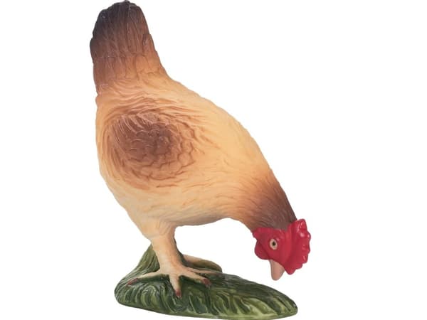 Mojo Hen syömässä