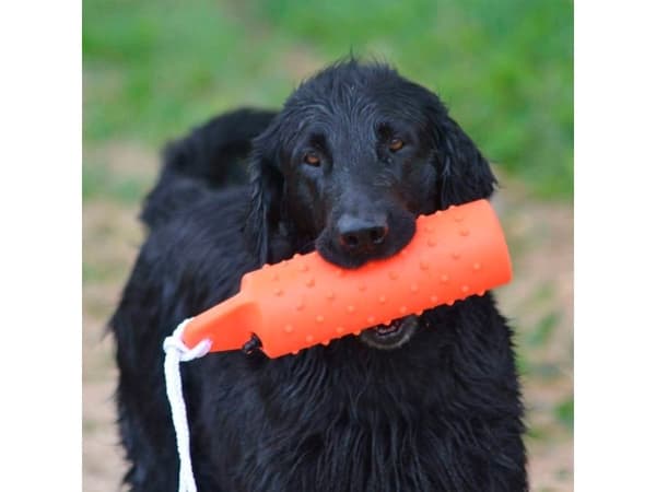 DOGMAN Gummidummies stor 28 cm