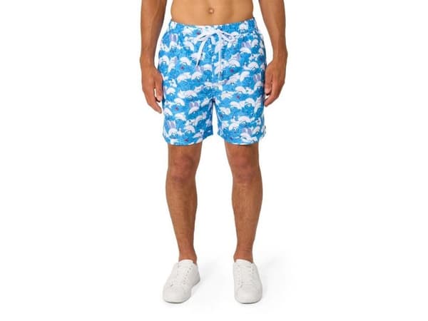 Smurfarna sommarset