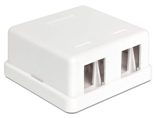 Delock Keystone Surface Mounted Box - Chassi med modulär insättning - vit - 2 portar