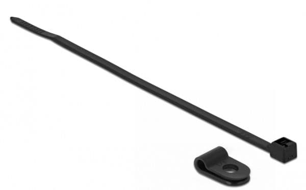 Delock - Kabelbinder - 10 cm - svart