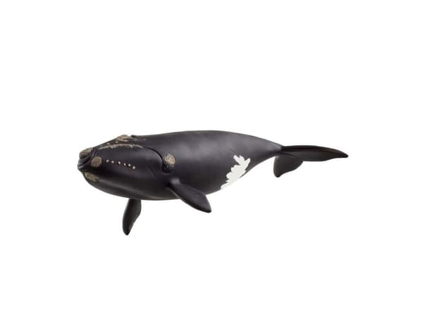 Schleich Nordatlantisk retthval