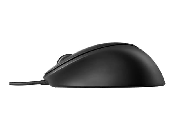 HP Fingerprint - Mus - laser - 3 knapper - kablet - USB