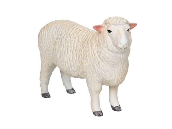 Mojo Romney Sheep (Ram)