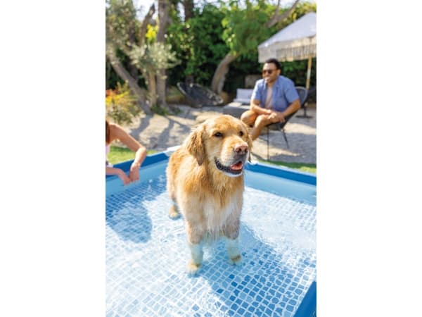 Square Frame Pet Pool Set