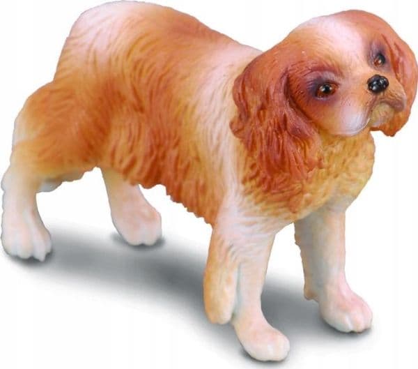 Samlefigur Collecta PIES RASY SPANIEL CAVALIER KING CHARLES