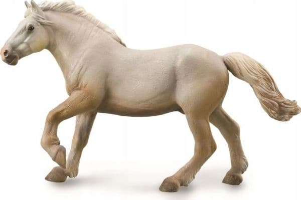 AMAERICAN CREAM DRAFT STALLION XL häst