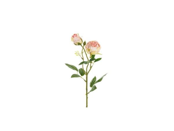 Lys rosa rose, 1 kpl