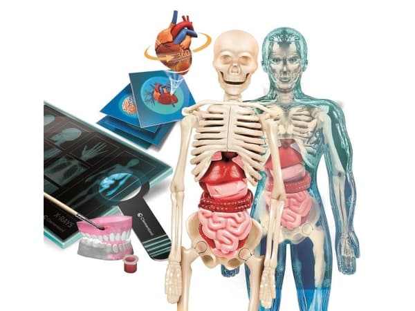 Clementoni Super Anatomy vitenskapssett