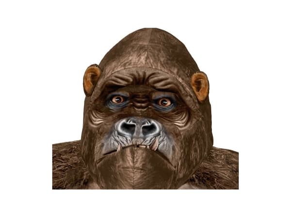 Big Kong kostume