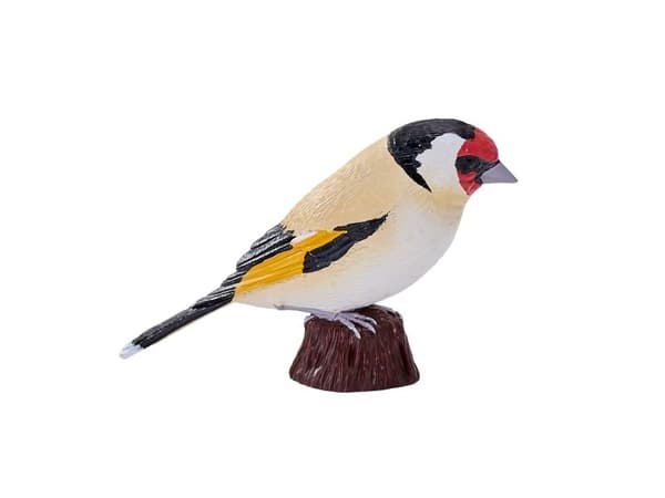 European Goldfinch
