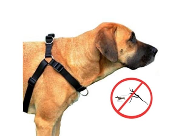 Dingo Easy Walk-seler for hunder som trekker 70–105 cm svart