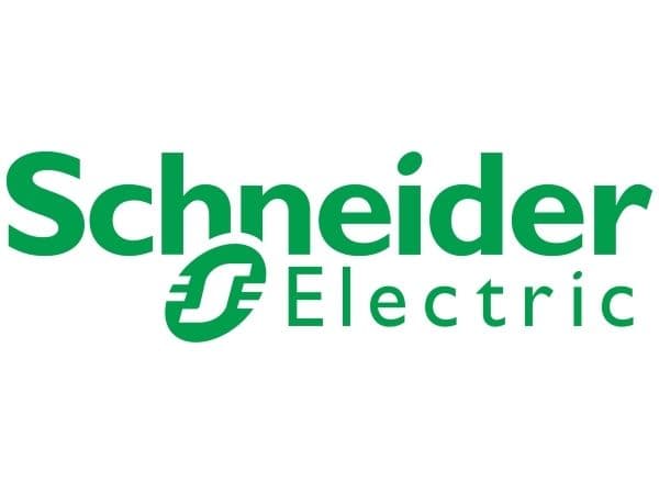 Schneider Electric NSYTRAL220, 1 styck