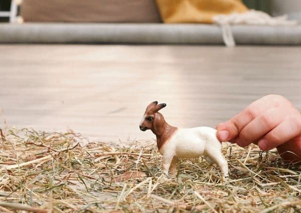 Schleich Boer Goat