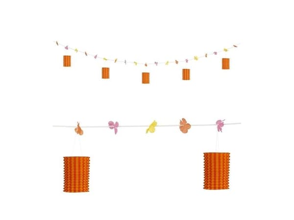 Hawaiiljushållargirlang, orange