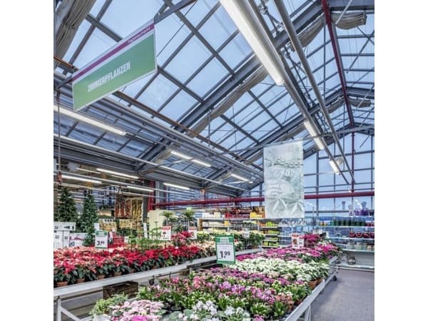 Trilux 7118240, Rektangulär, Innertak/vägg, Ytmonterad, Grå, Light grey, Plast