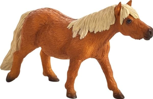Mojo shetlandsponni