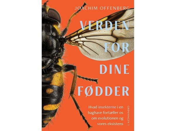 Verden for dine fødder | Joachim Offenberg