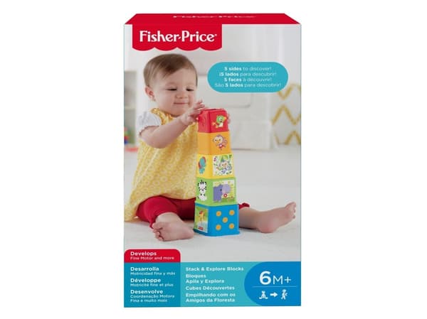 Fisher Price Stack & Explore Blocks