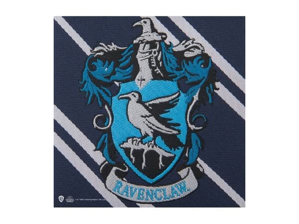 Harry Potter Ravenclaw slips, vuxen