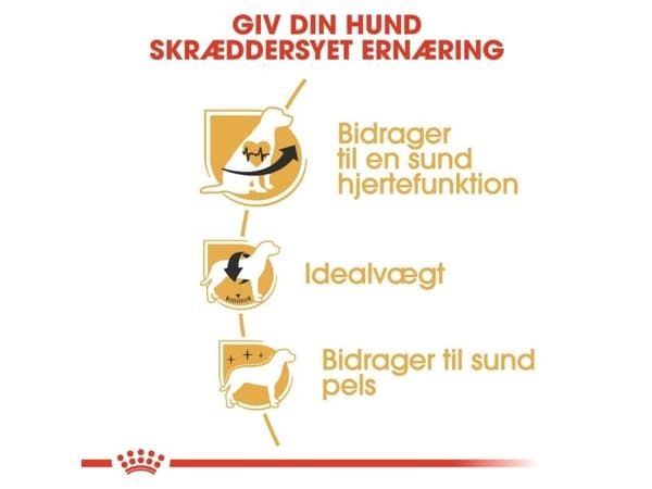 Royal Canin Cavalier King Charles Adult tørfoder til hund - 7.5 kg
