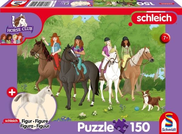 Schmidt Spiele 56464, 7 år