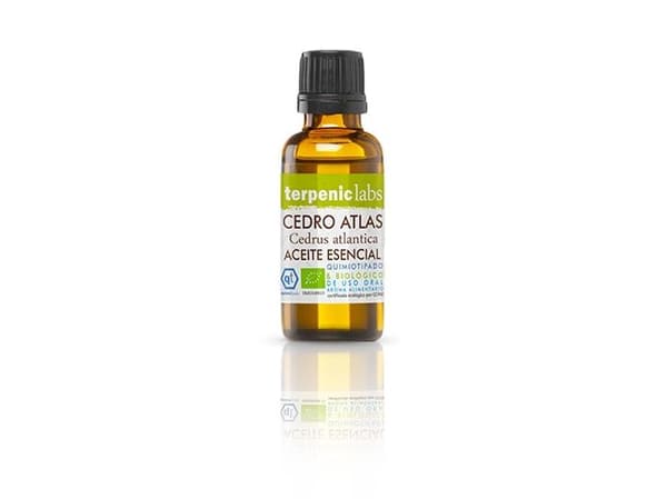 Corega Maximo Sealed 70g