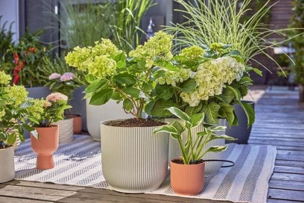 Gardena Micro-Drip-System Starter Set Terrass