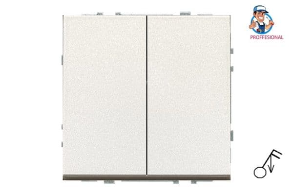 SWITCH IMP IIJ5.10-203-01.M/CH 2G MODERN