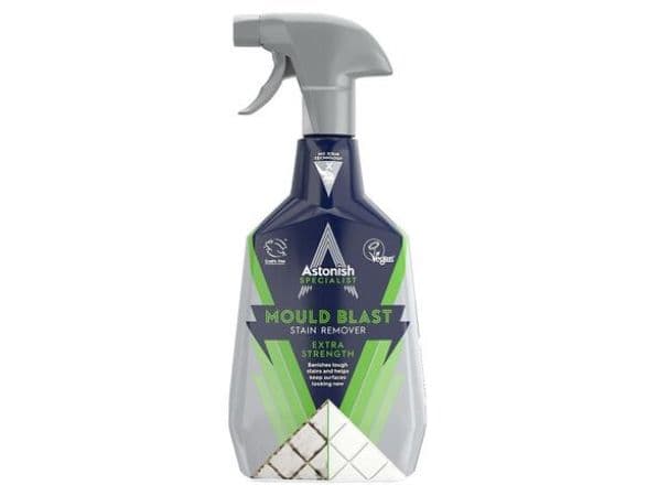 EXTRA STRENGTH MOULD STAIN REMOVER 750ML