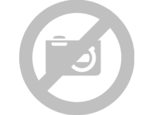 Plåtfalsningsverktyg PS55 BESSEY