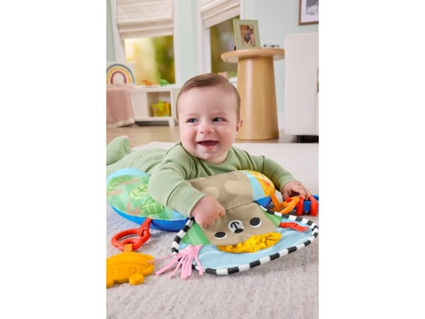 Fisher-Price Balanced Beginnings Tummy Wedge