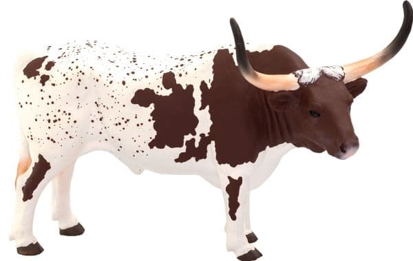 Mojo Texas Longhorn Sonni