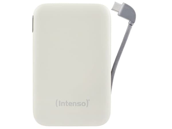 Intenso 7333031