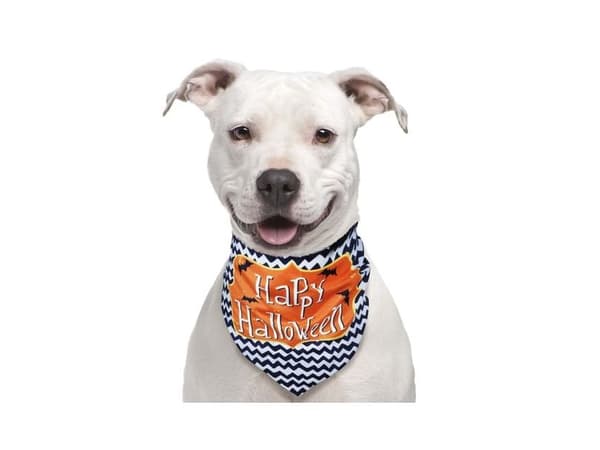 Happy halloween tørklæde til hund