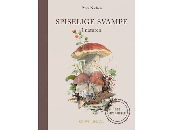 Spiselige svampe | Peter Nielsen