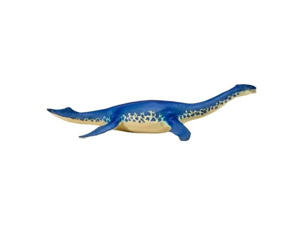 Cryptoclidus