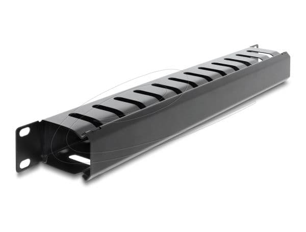 Delock - Racks kabelhantering routing panel - med borste - svart - 1U - 19"