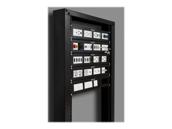 Delock - Koblingspanel - rackmonterbar - svart - 2U - 19"