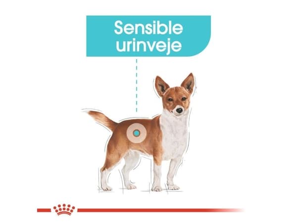 Royal Canin Urinary Care, Voksen, 85 g