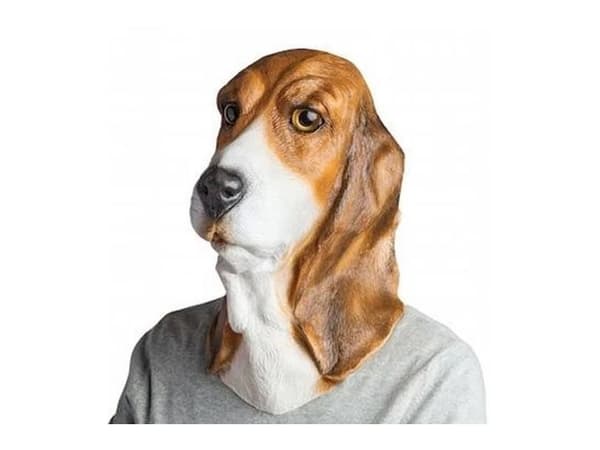 Bassethund maske
