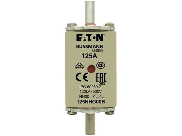 Bussmann 125NHG00B
