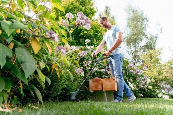 Bosch GRÆSTRIMMER EASY GRASS CUT 26CM