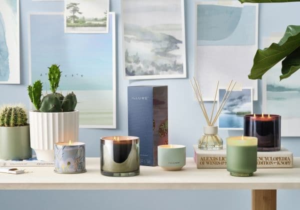 ILLUME Hinoki Sage Box Glass Candle, Grøn,