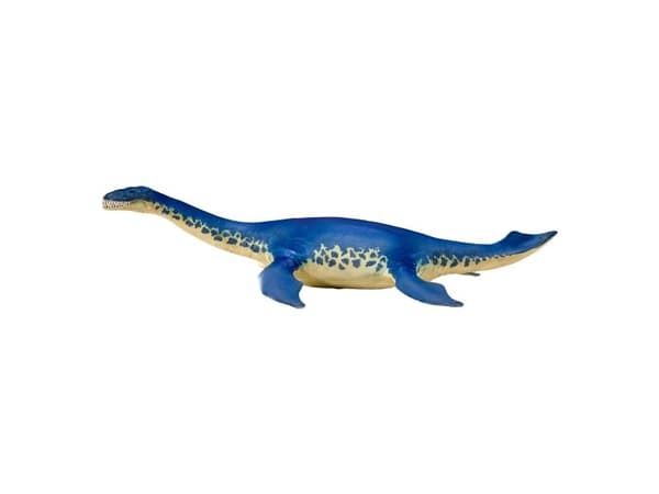 Cryptoclidus