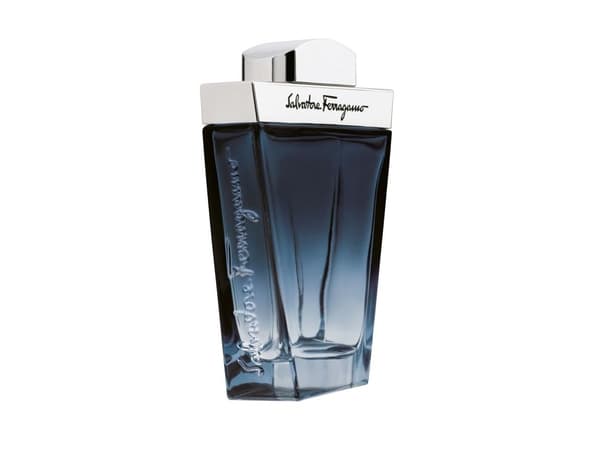 Salvatore Ferragamo Subtil 100 ml, miehet, 100 ml