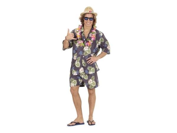 Hawaii skjorte og shorts