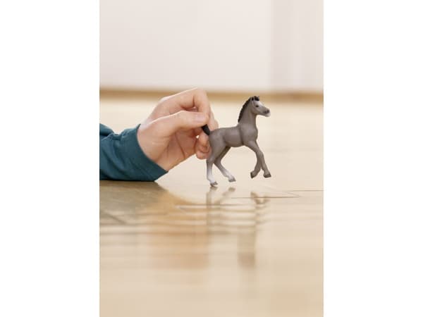 Schleich Cheval de Selle Fr. foal